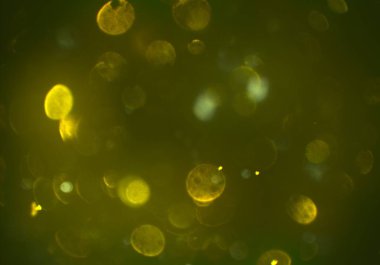 parlayan glitters duvar kağıdı, defokus bokeh ile soyut arka plan 