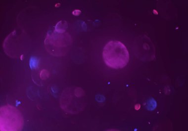 parlayan glitters duvar kağıdı, defokus bokeh ile soyut arka plan 