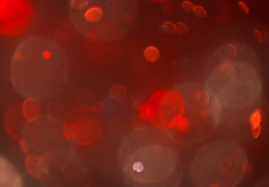 sihirli parlayan glitters duvar kağıdı, defokus bokeh ile soyut arka plan 