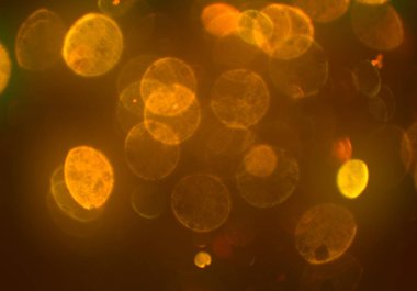 Bokeh ile soyut arkaplan