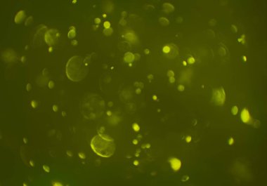 sihirli parlayan glitters duvar kağıdı, defokus bokeh ile soyut arka plan 