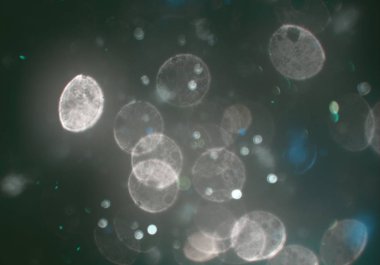 sihirli parlayan glitters duvar kağıdı, defokus bokeh ile soyut arka plan 