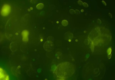 sihirli parlayan glitters duvar kağıdı, defokus bokeh ile soyut arka plan 