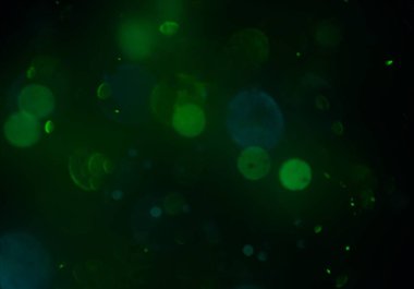 sihirli parlayan glitters duvar kağıdı, defokus bokeh ile soyut arka plan 