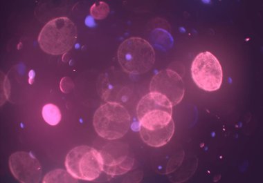 parlak sihirli parlayan glitters duvar kağıdı, defokus bokeh ile soyut arka plan 