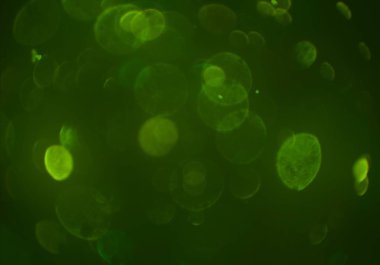 parlak bokeh ışıkları ile dijital duvar kağıdı 