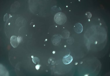 parlak sihirli parlayan glitters duvar kağıdı, defokus bokeh ile soyut arka plan 