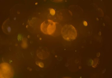 metin veya görüntü için alan ile bokeh arka plan