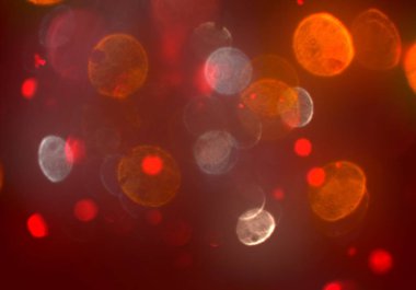 glitters duvar kağıdı, defokus bokeh ile soyut arka plan 