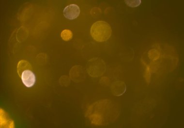 metin veya görüntü için alan ile bokeh arka plan