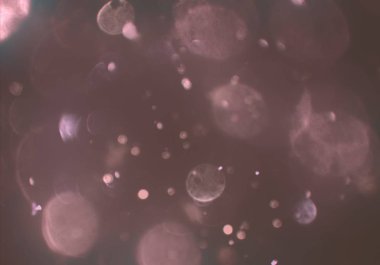 glitters duvar kağıdı, defokus bokeh ile soyut arka plan 