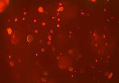 parlayan daireler, defokus bokeh ile soyut arka plan 