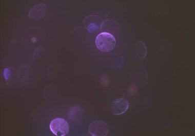 metin veya görüntü için alan ile bokeh arka plan