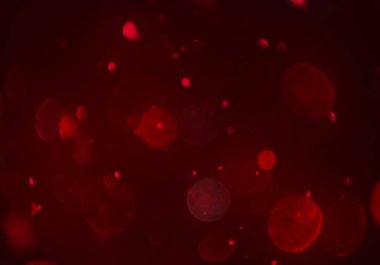 parlayan daireler, defokus bokeh ile soyut arka plan 