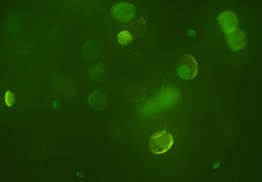 parlayan daireler, defokus bokeh ile soyut arka plan 