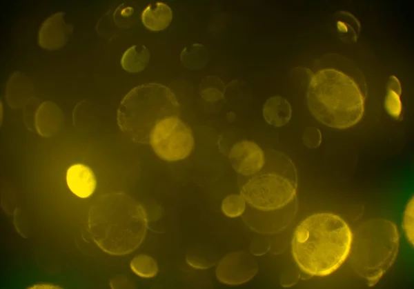 Glowing Glitters Wallpaper Abstract Background Defocused Bokeh — Stock Photo, Image