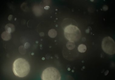 parlayan daireler, defokus bokeh ile soyut arka plan 