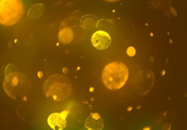 metin veya görüntü için alan ile bokeh arka plan