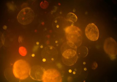 bokeh parlayan parıltılar defocused