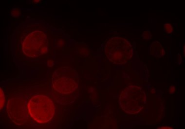 bokeh parlayan parıltılar defocused