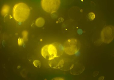 Bokeh ışıkları ile soyut arkaplan