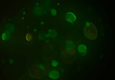 bokeh parlayan parıltılar defocused