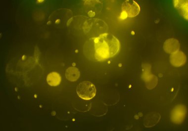 bokeh ve metin için alan ile soyut duvar kağıdı