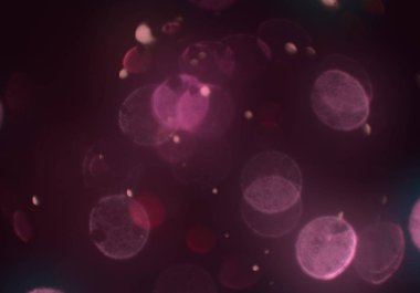 bokeh parlayan parıltılar defocused