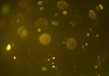 metin veya görüntü için alan ile bokeh arka plan