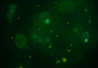 bokeh parlayan parıltılar defocused