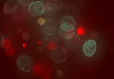 bokeh ve metin için alan ile soyut duvar kağıdı