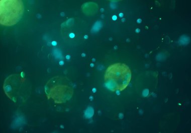 parlak bokeh parlayan parıltılar