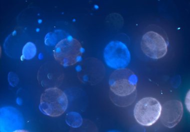 bokeh ve metin için alan ile soyut duvar kağıdı