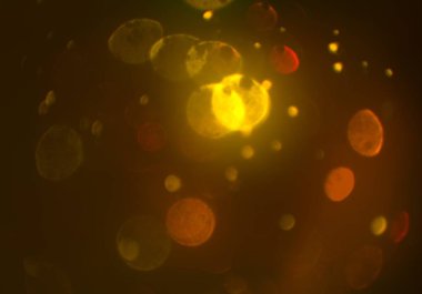 parlak bokeh parlayan parıltılar