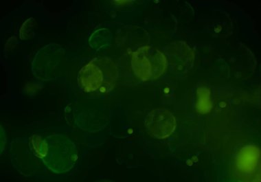 parlak bokeh parlayan parıltılar