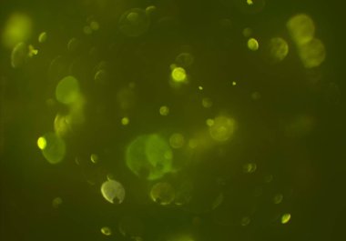 bokeh ışıkları ile soyut duvar kağıdı