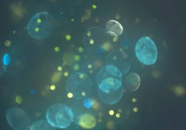 parlak bokeh parlayan parıltılar