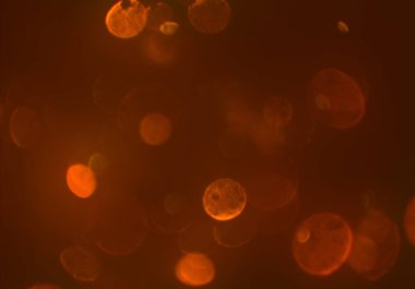 Bokeh ile soyut arkaplan