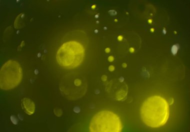 metin veya görüntü için alan ile bokeh arka plan