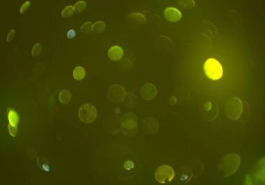 parlak bokeh parlayan parıltılar