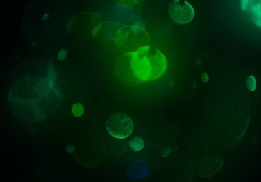 parlak bokeh parlayan parıltılar