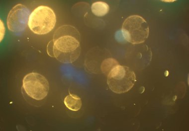 parlak bokeh parlayan parıltılar