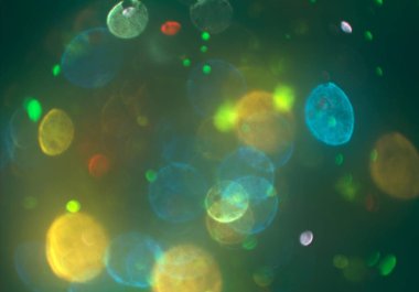 parlak bokeh parlayan parıltılar