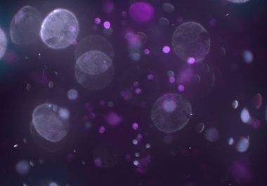 parlak bokeh parlayan parıltılar