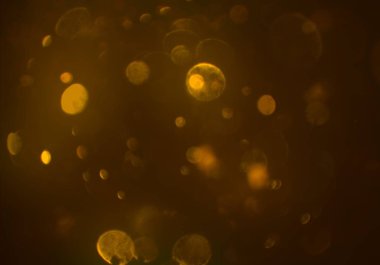 kopya alanı ile bokeh ışıkları dijital arka plan