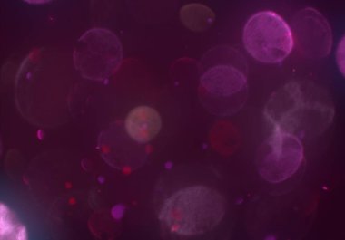 parlak bokeh parlayan parıltılar