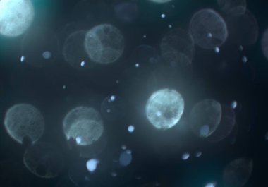 parlak bokeh parlayan parıltılar