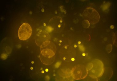 parlayan parlak bokeh parlayan parıltılar