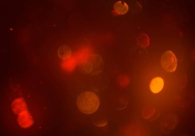 metin veya görüntü için alan ile bokeh arka plan