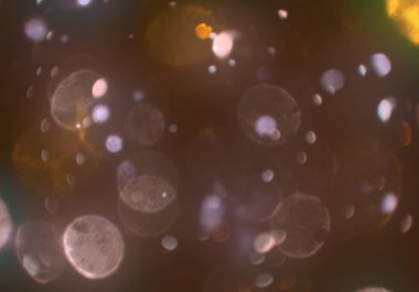 parlak bokeh ışıkları ile dijital duvar kağıdı 